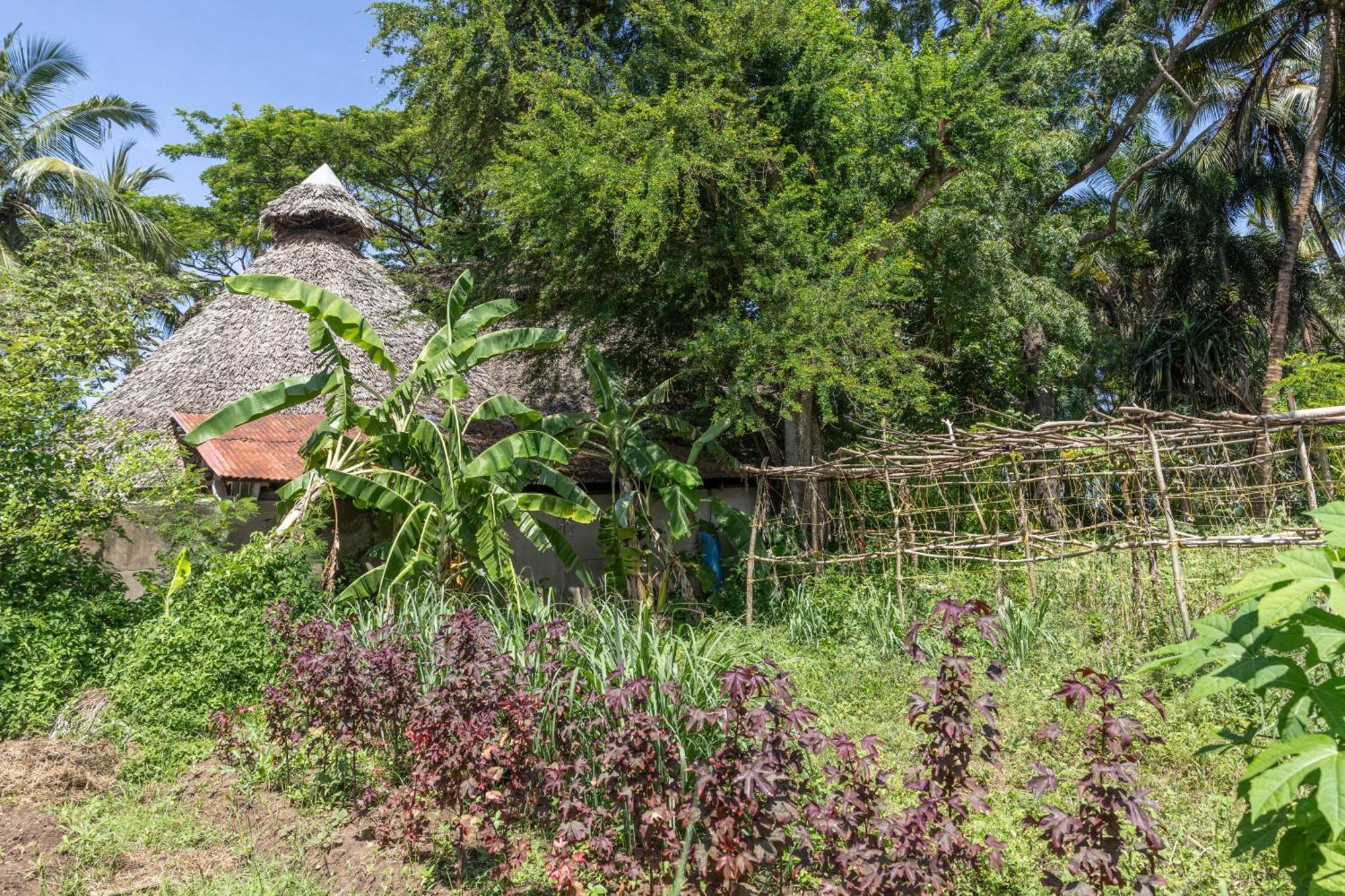 Mbweni Ruins & Gardens Previously Jungle Paradise Занзібар Екстер'єр фото