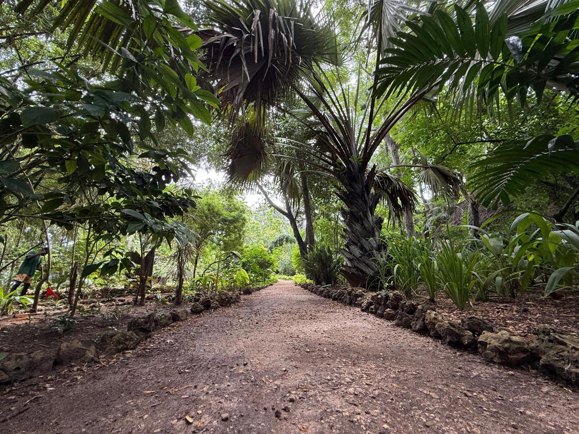 Mbweni Ruins & Gardens Previously Jungle Paradise Занзібар Екстер'єр фото